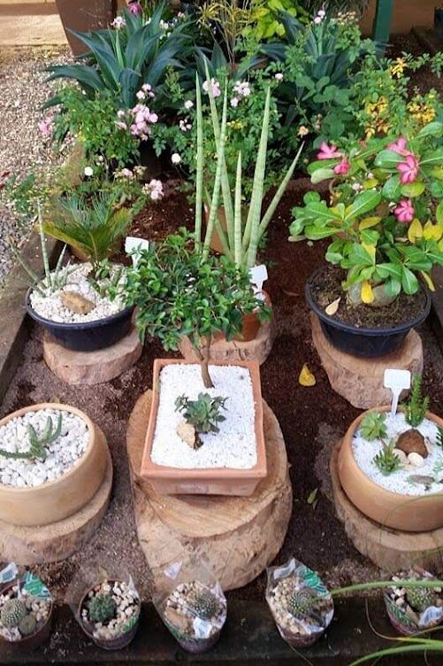 FB_IMG_1563668689369