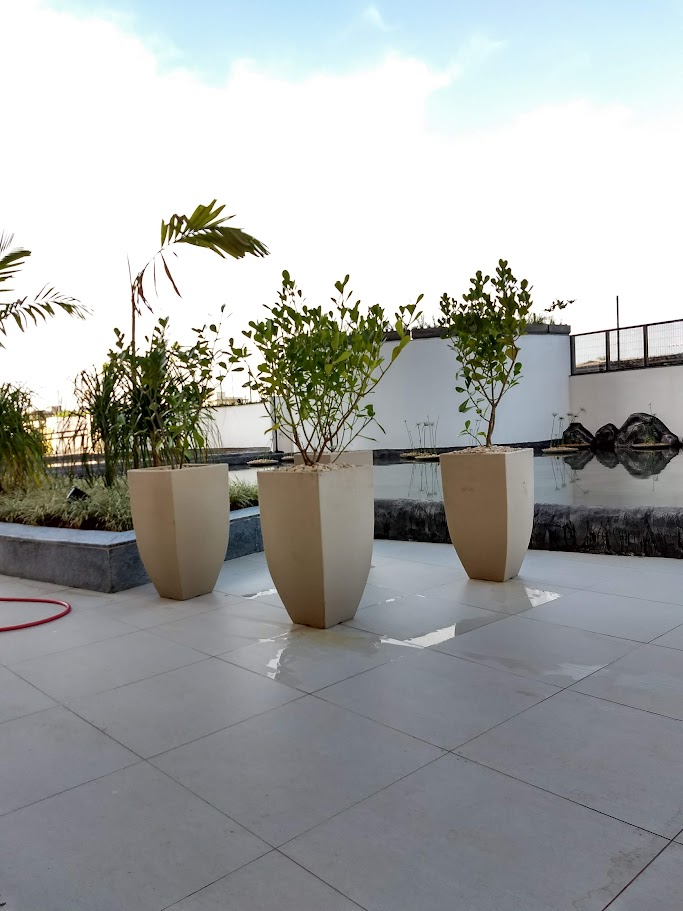 IMG_20180714_081858603_HDR