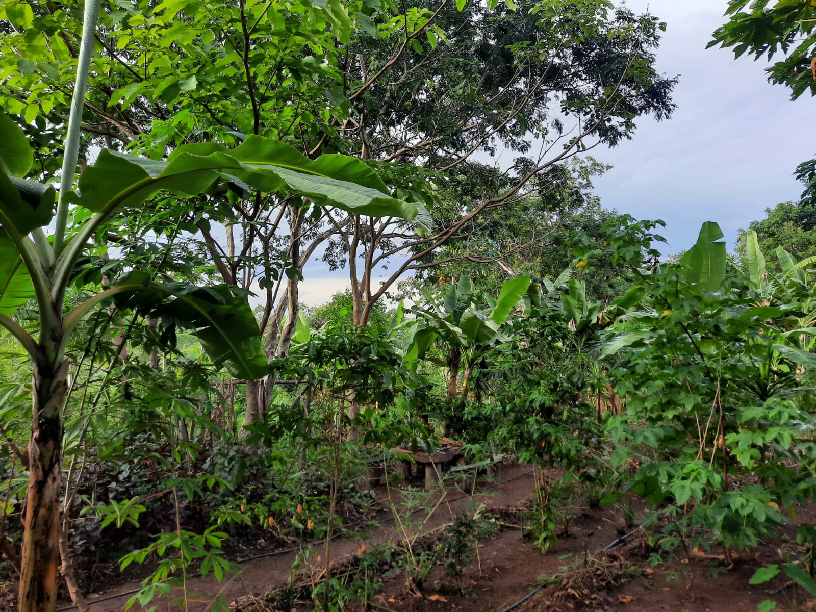 WhatsApp Image 2025-05-21 at 14.40.39