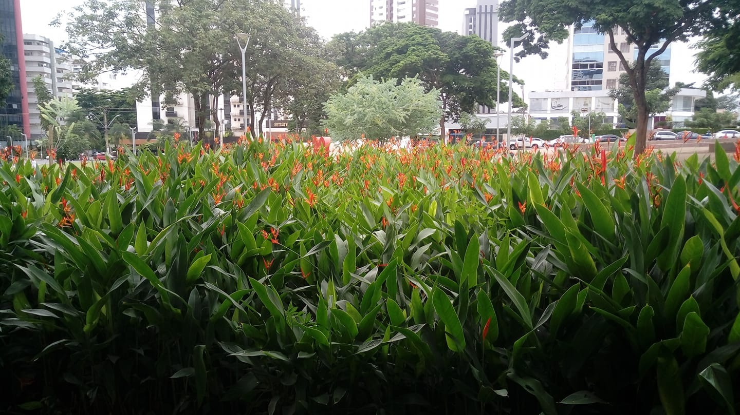 WhatsApp Image 2025-05-22 at 17.32.55 (1)