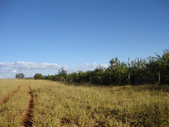 WhatsApp Image 2025-05-22 at 17.47.30