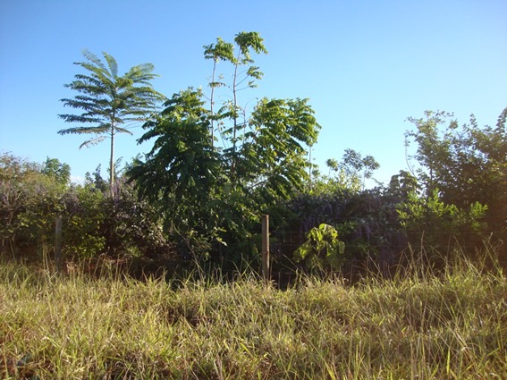 WhatsApp Image 2025-05-22 at 17.51.30