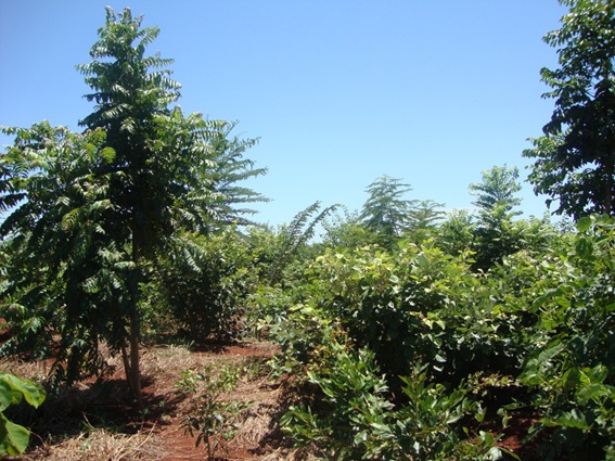 WhatsApp Image 2025-05-22 at 17.54.26