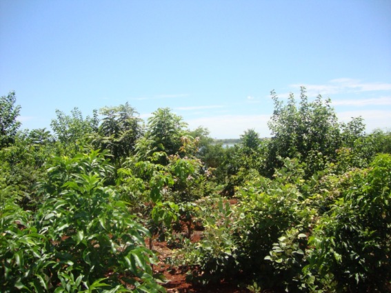 WhatsApp Image 2025-05-22 at 17.57.04