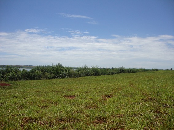 WhatsApp Image 2025-05-22 at 17.57.35