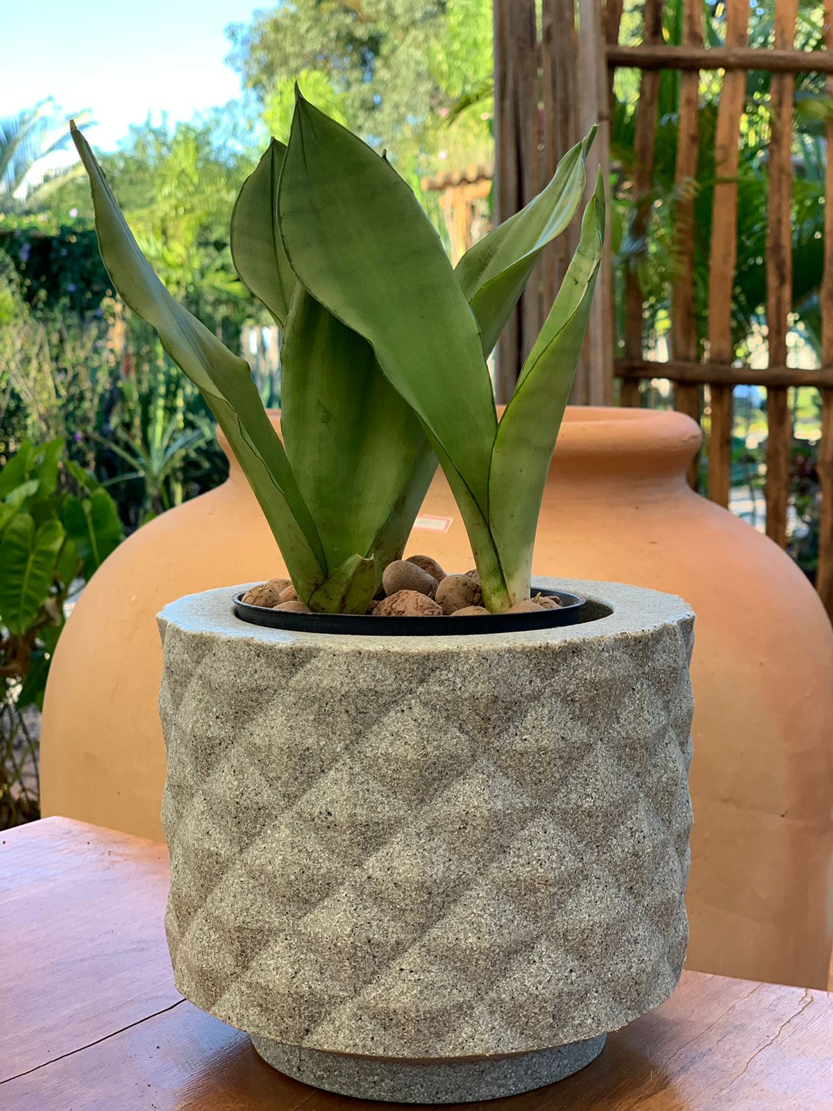 WhatsApp Image 2025-05-22 at 18.12.26