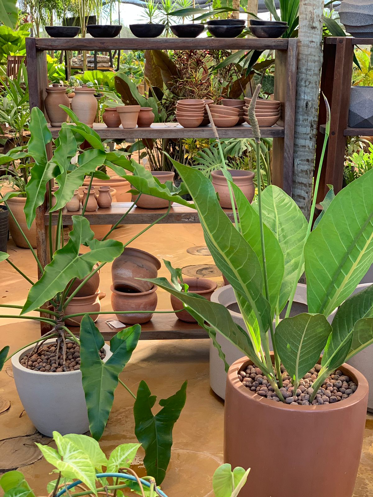 WhatsApp Image 2025-05-22 at 18.12.27 (3)