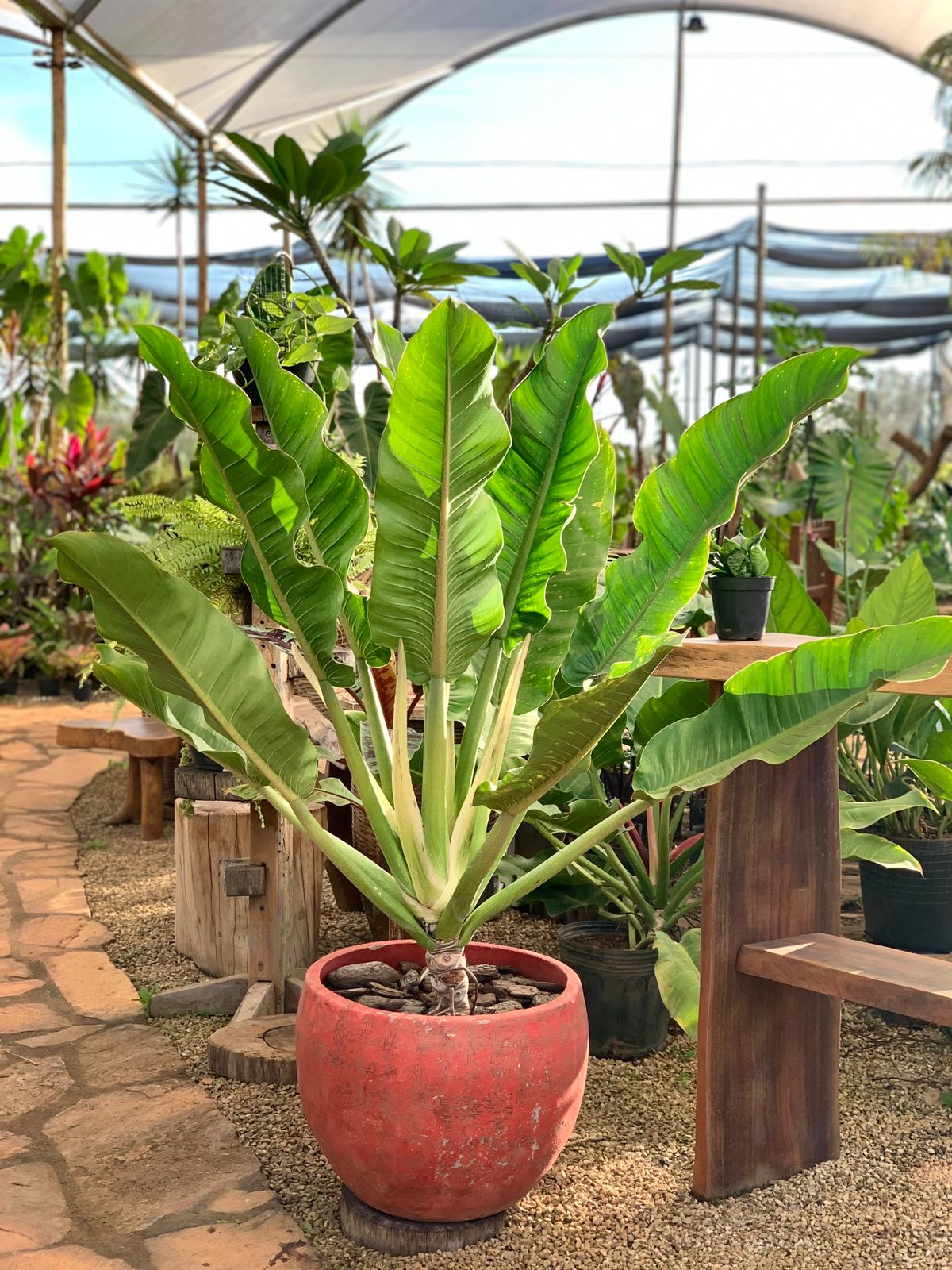 WhatsApp Image 2025-05-22 at 18.12.27