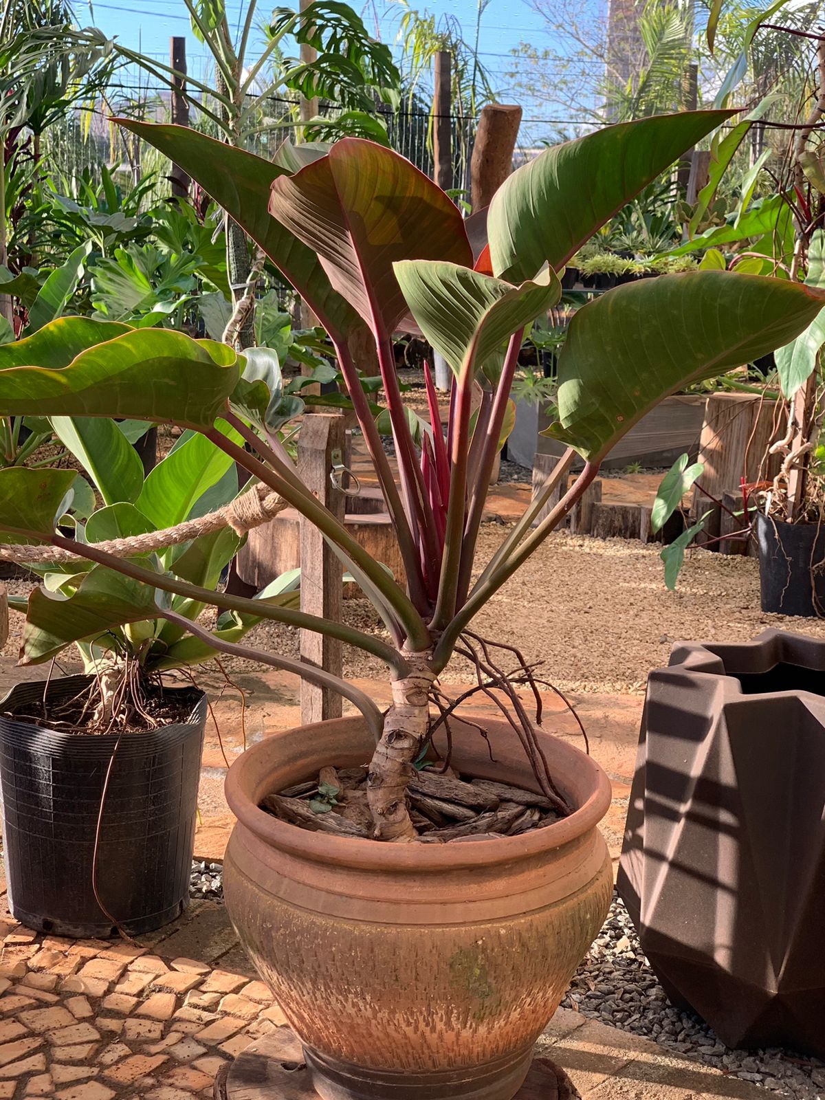 WhatsApp Image 2025-05-22 at 18.12.29 (2)