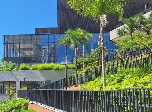 WhatsApp Image 2025-05-21 at 14.34.27