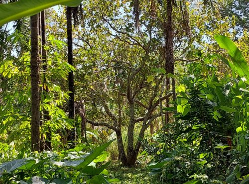 WhatsApp Image 2025-05-21 at 14.40.36